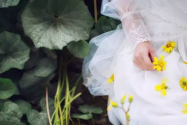 2014 赛季的泰达 有人说是“本土球员带着外援踢”…‘泛亚电竞’(图1) 泛亚电竞官网