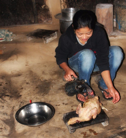 西北狼主帅金奉吉“下课”‘泛亚电竞官网’(图4) 泛亚电竞官网