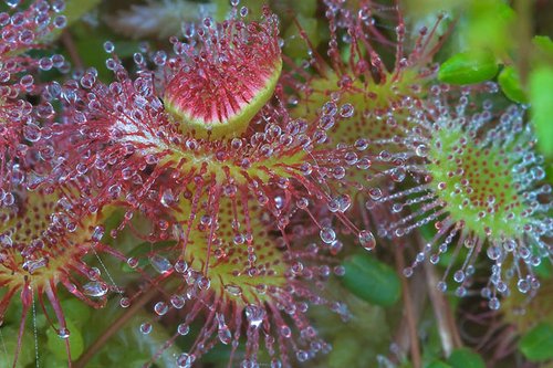 生态环境部通报2018年1-11月和11月全国空气质量状况|泛亚电竞平台(图3) 泛亚电竞平台