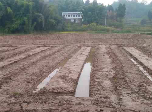 泛亚电竞官网|字节跳动飞书称遭遇微信封禁,或因微信外链管理逐步趋严(图2) 泛亚电竞
