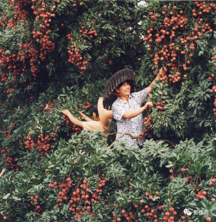 【泛亚电竞官网】
寻人！2001年到场过这个开镜仪式的影友荟萃啦(图25)