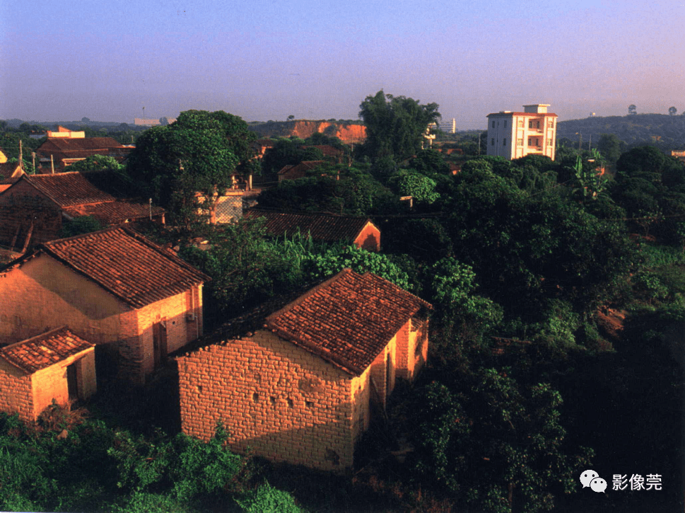 【泛亚电竞官网】
寻人！2001年到场过这个开镜仪式的影友荟萃啦(图26)