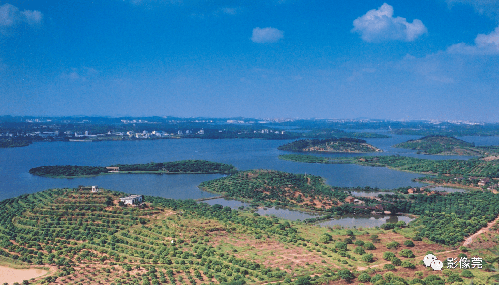 【泛亚电竞官网】
寻人！2001年到场过这个开镜仪式的影友荟萃啦(图27)