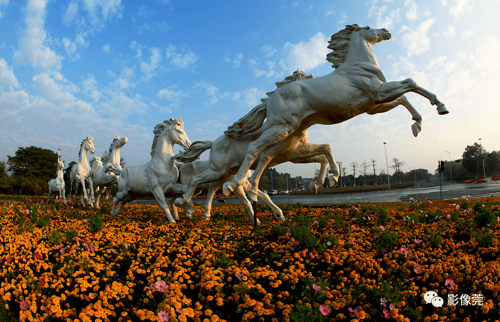 【泛亚电竞官网】
寻人！2001年到场过这个开镜仪式的影友荟萃啦(图32)