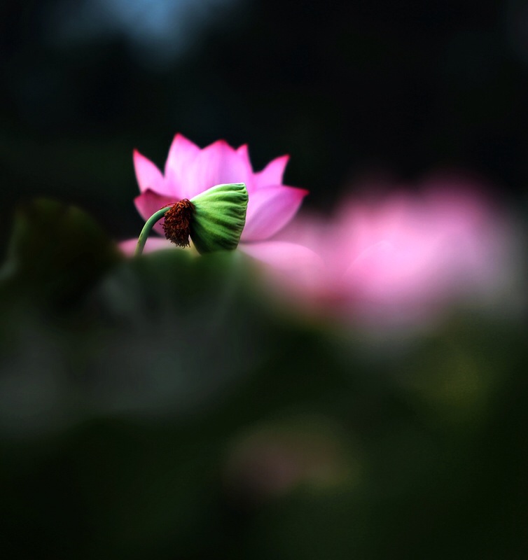 泛亚电竞平台