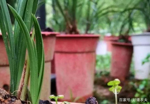 泛亚电竞
