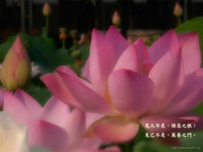 泛亚电竞